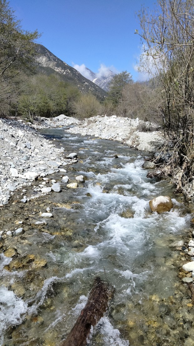 Lytle Creek north of Fontana was one of the local streams whose flows unexpectedly doubled or more after the July 22, 1899, earthquake. The surprising increase came in midsummer after one of the driest rain seasons on record. (Photo by Joe Blackstock)