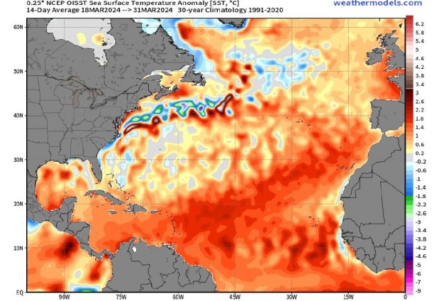 Sea surface temperatures are at record warm levels this spring across most of the tropical and the eastern part of the subtropical Atlantic. This map shows anomaly rates above normal during late March, 2024. The hotter the color the higher the anomaly above the norm from1991 to 2020. (Courtesy Colorado State University)